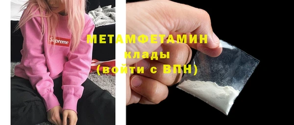 прущие грибы Чегем