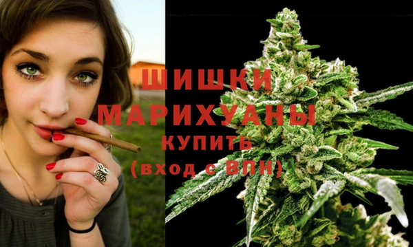 мет Каменск-Шахтинский