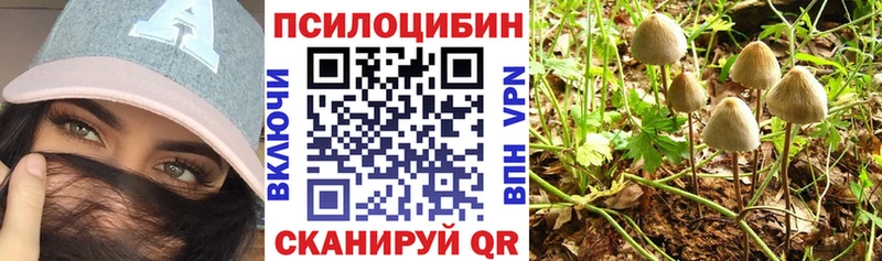 Купить где  Михайловка  Псилоцибиновые грибы Psilocybe 